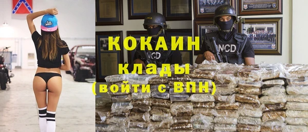 шишки Майский