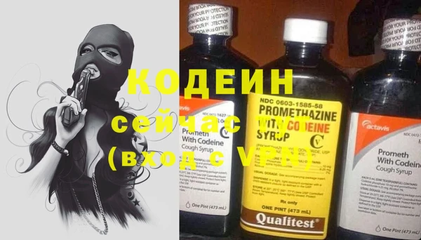 шишки Майский