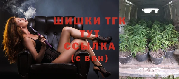 шишки Майский