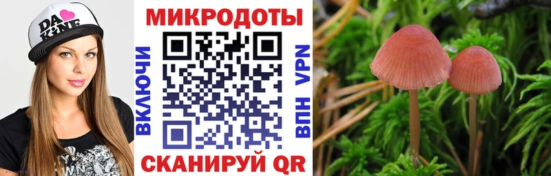 Псилоцибиновые грибы Magic Shrooms  закладки  Новошахтинск 