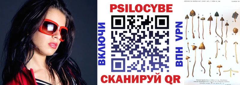 Псилоцибиновые грибы прущие грибы Новошахтинск
