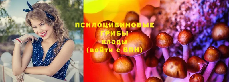 дарк нет состав  цены наркотик  Новошахтинск  Галлюциногенные грибы MAGIC MUSHROOMS 