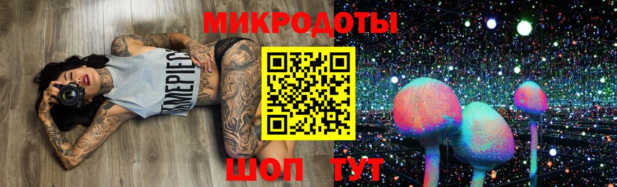Новошахтинск  Псилоцибиновые грибы MAGIC MUSHROOMS  Вход с VPN 