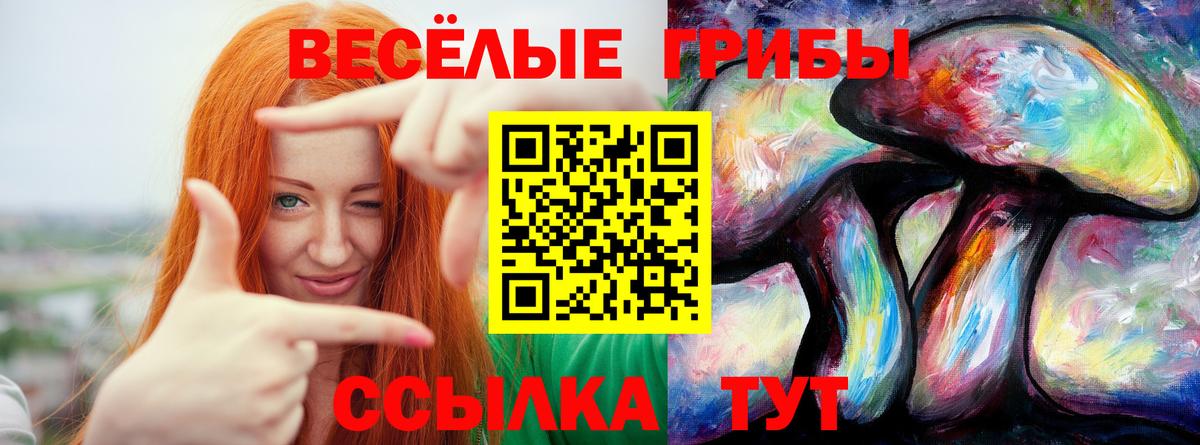 Псилоцибиновые грибы Cubensis Новошахтинск